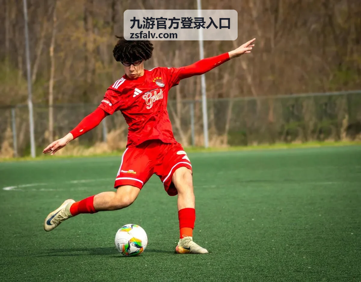 九游官方登录入口操作界面示意